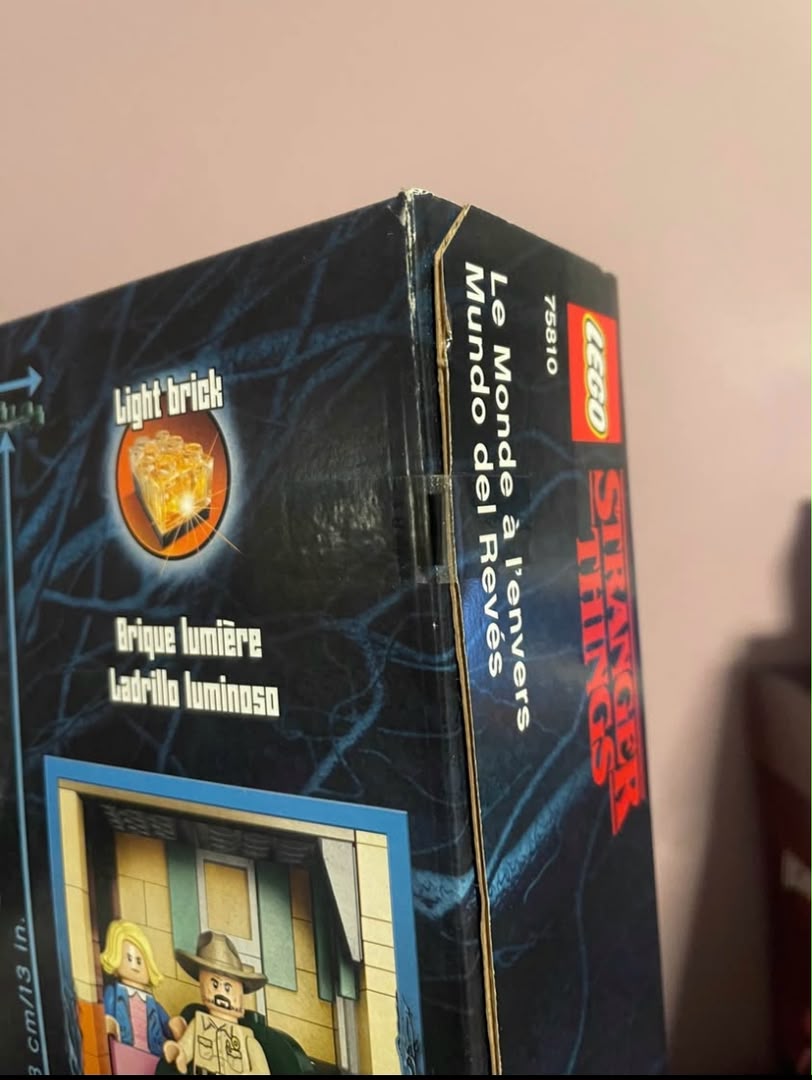 Upside Down House StrangersThings - Image 3